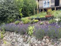 Działka rod Chełmno Osiedle nad Browiną. Zdjęcie 4