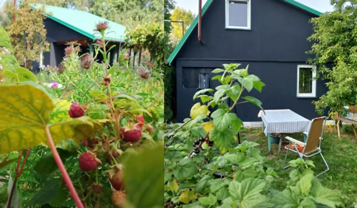 Działka rod Tarnobrzeg Nadole, ul. Wałowa