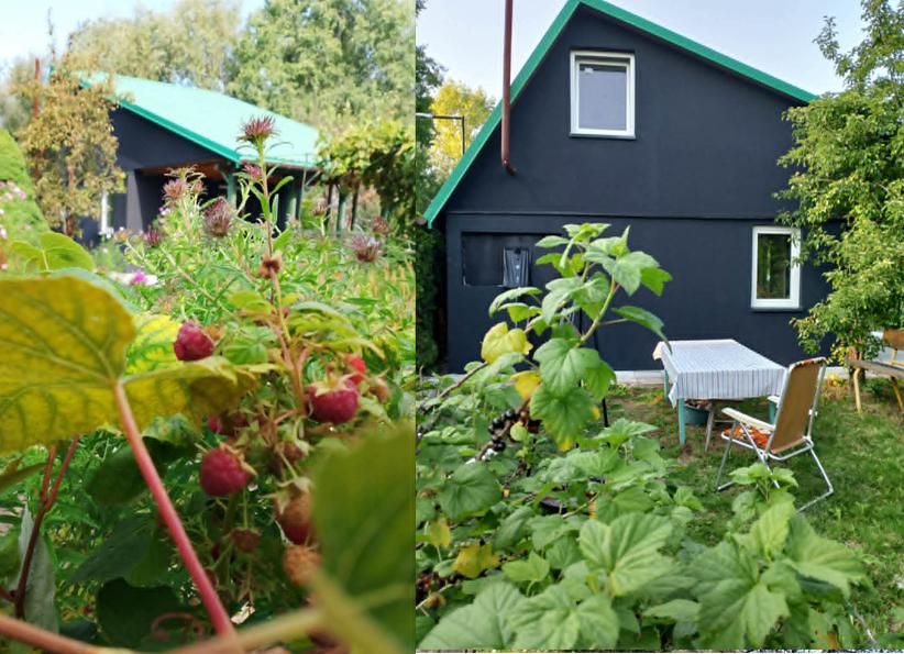 Działka rod Tarnobrzeg Nadole, ul. Wałowa. Zdjęcie 1