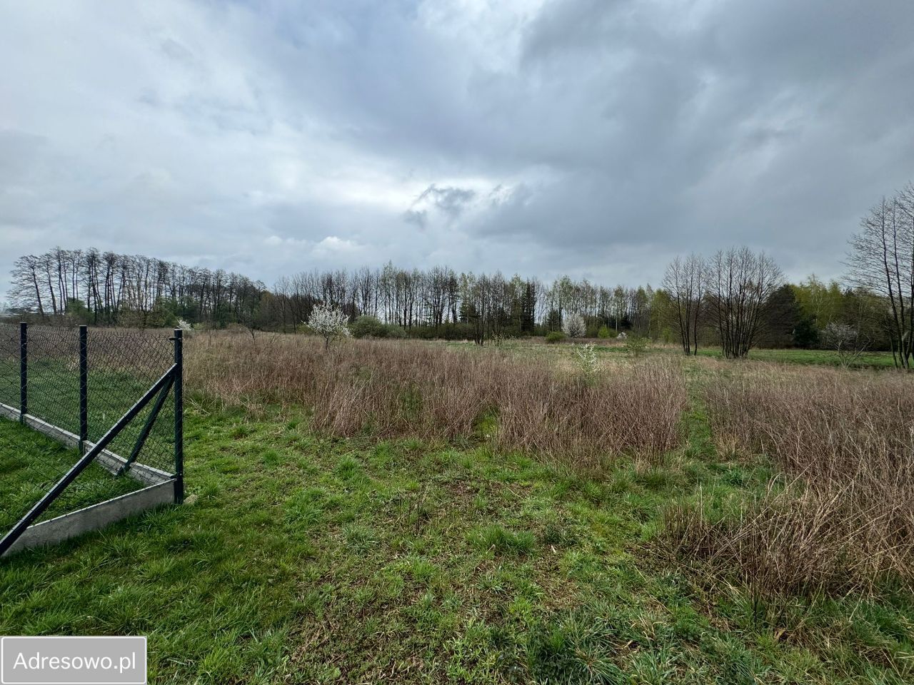 Działka budowlana Parole. Zdjęcie 3