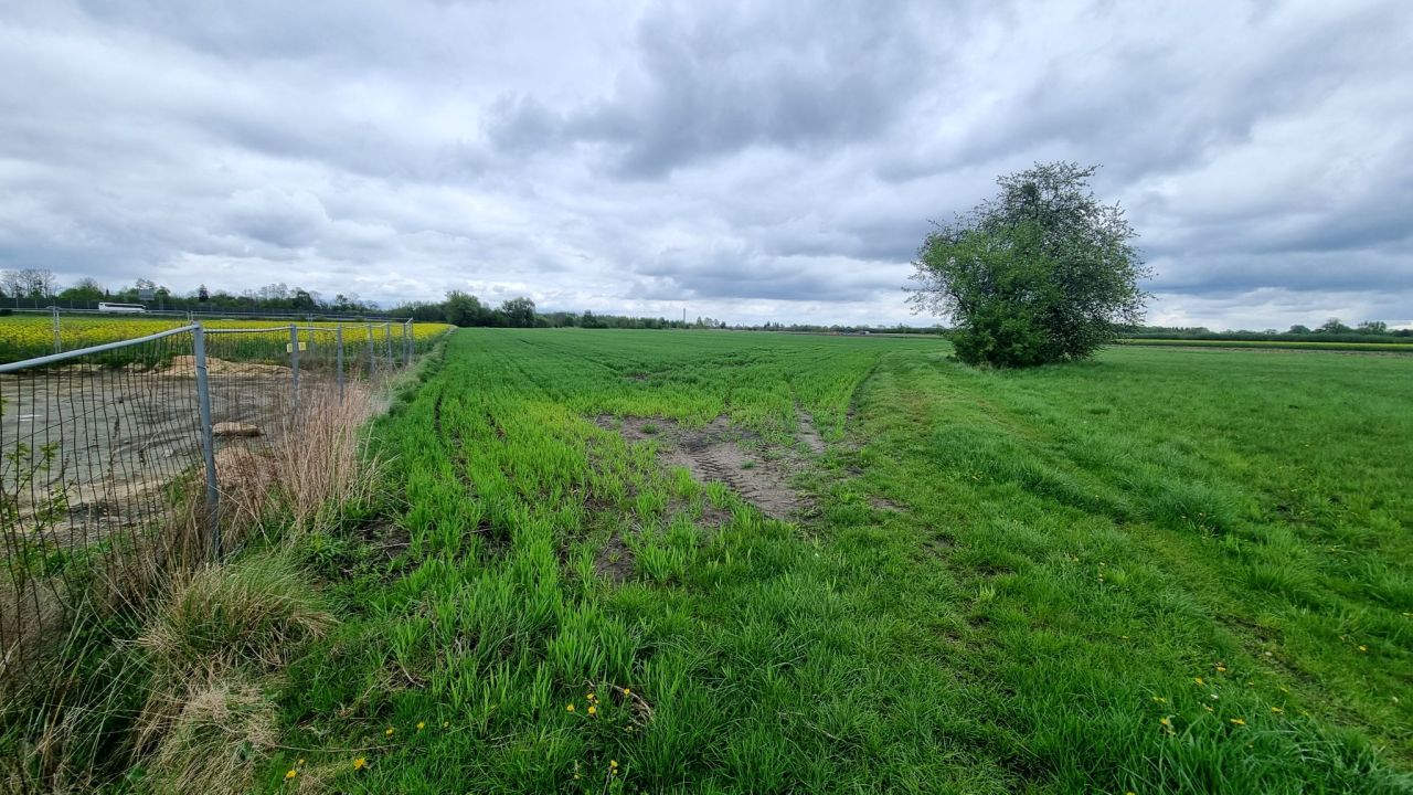 Działka rolna Żuków. Zdjęcie 5