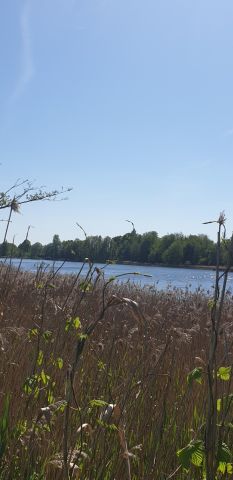 Działka budowlana Przerośl. Zdjęcie 1