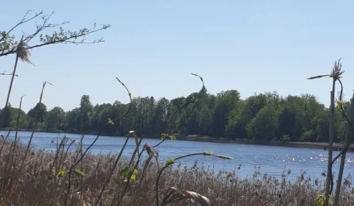Działka budowlana Przerośl