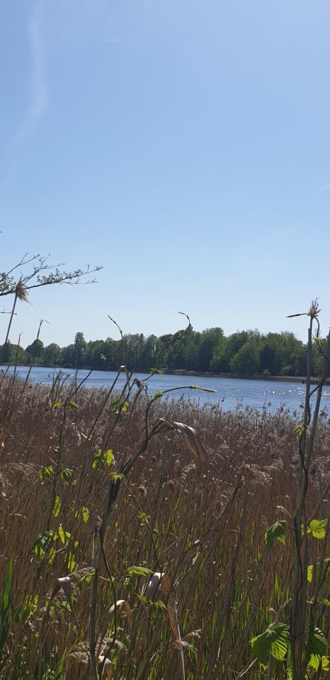 Działka budowlana Przerośl