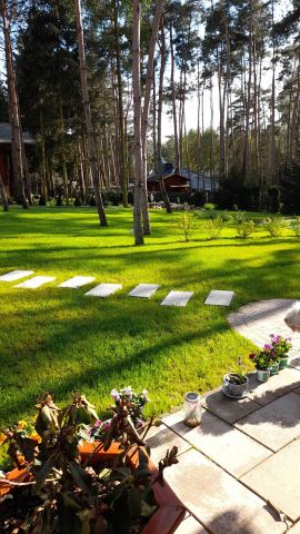 Działka rekreacyjna Stary Dębiec, os. Sosnowe. Zdjęcie 1