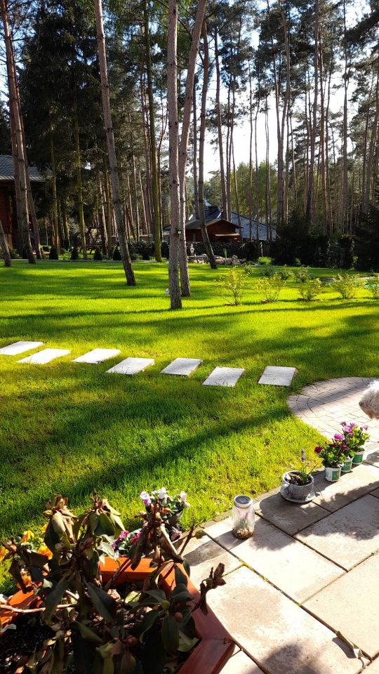 Działka rekreacyjna Stary Dębiec, os. Sosnowe