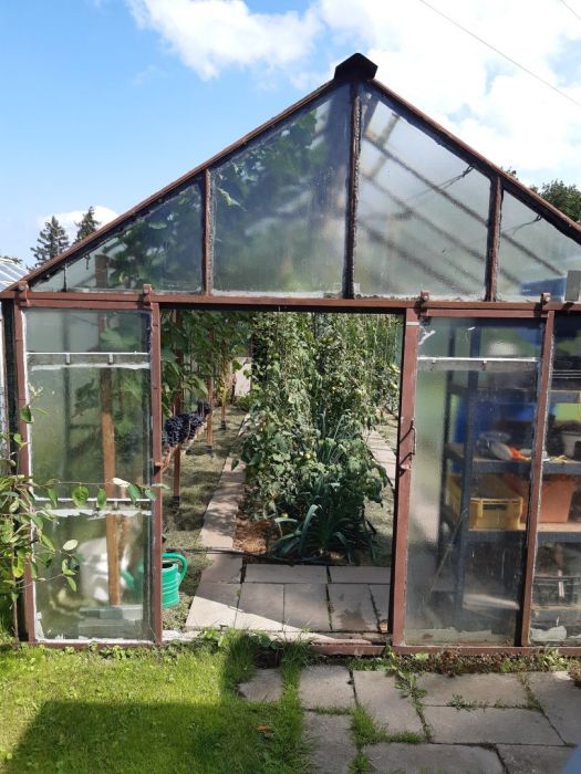 Działka rod Gdynia Oksywie, ul. Zielona. Zdjęcie 5