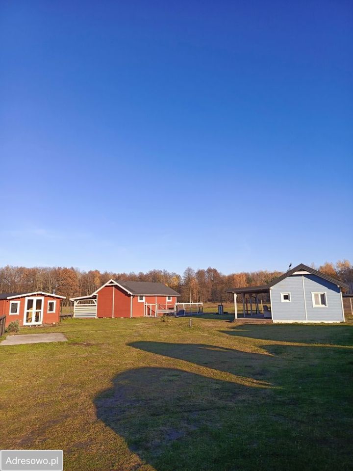 Działka siedliskowa Nowa Wieś. Zdjęcie 9