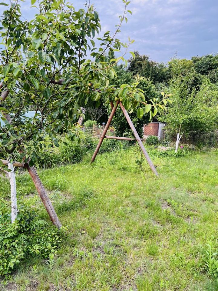 Działka rod Wrocław Psie Pole, ul. Toruńska. Zdjęcie 5