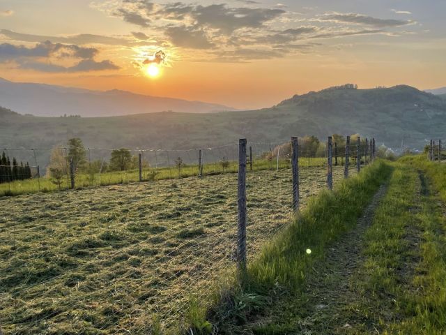 Działka rolna Łomnica-Zdrój. Zdjęcie 1