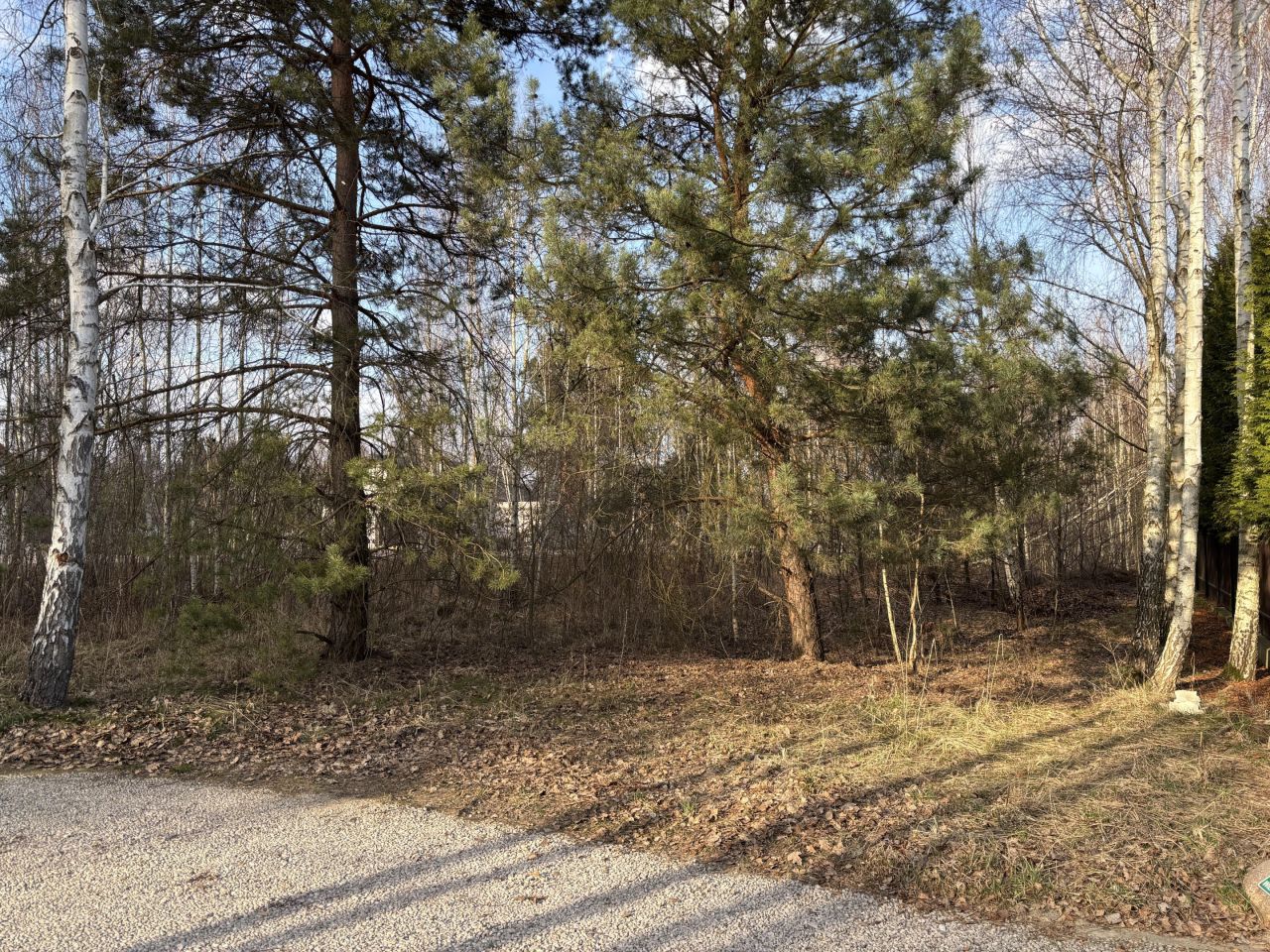 Działka budowlana Rusiec, ul. Słowicza. Zdjęcie 2