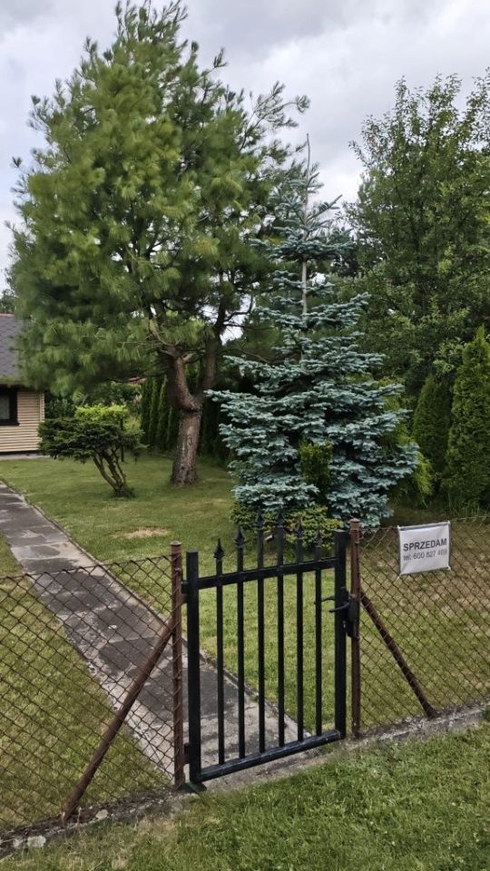 Działka rod Częstochowa Wrzosowiak. Zdjęcie 5