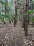 Działka inwestycyjna Adamówka. Zdjęcie 3