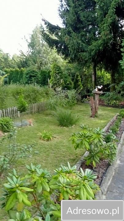 Działka rod Łódź Radogoszcz, ul. Brzegowa. Zdjęcie 12