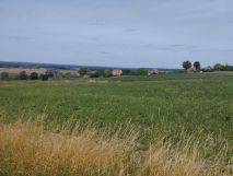 Działka budowlana Unisław. Zdjęcie 1