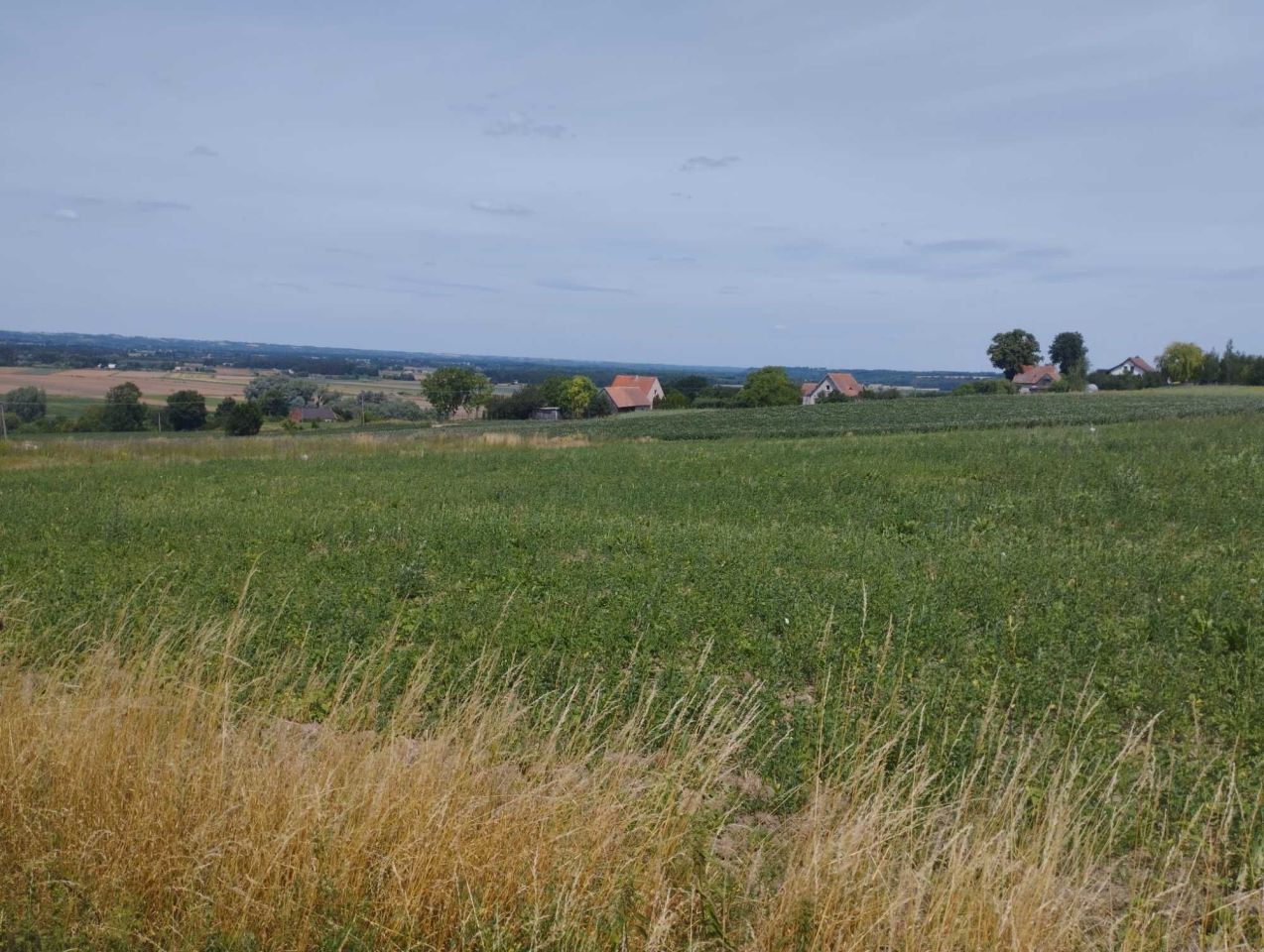 Działka budowlana Unisław. Zdjęcie 2