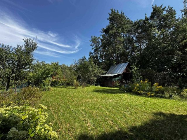 Działka rod Biała Podlaska, ul. Borowa. Zdjęcie 1