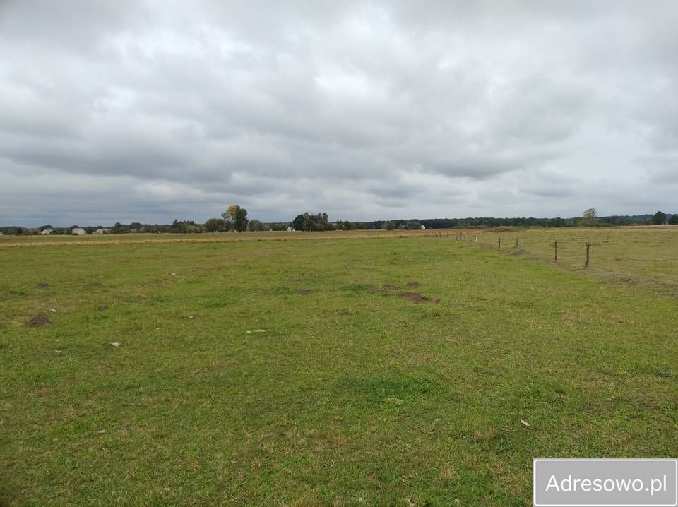 Działka rolno-budowlana Strych. Zdjęcie 8