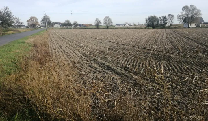 Działka budowlana Stara Dąbrowa