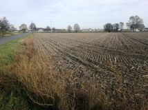 Działka budowlana Stara Dąbrowa