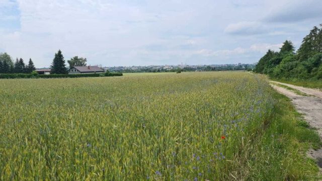 Działka budowlana Stargard. Zdjęcie 3
