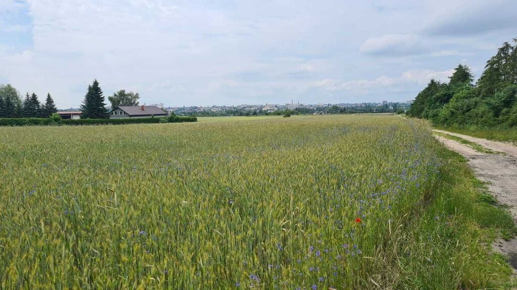 Działka budowlana Stargard. Zdjęcie 3