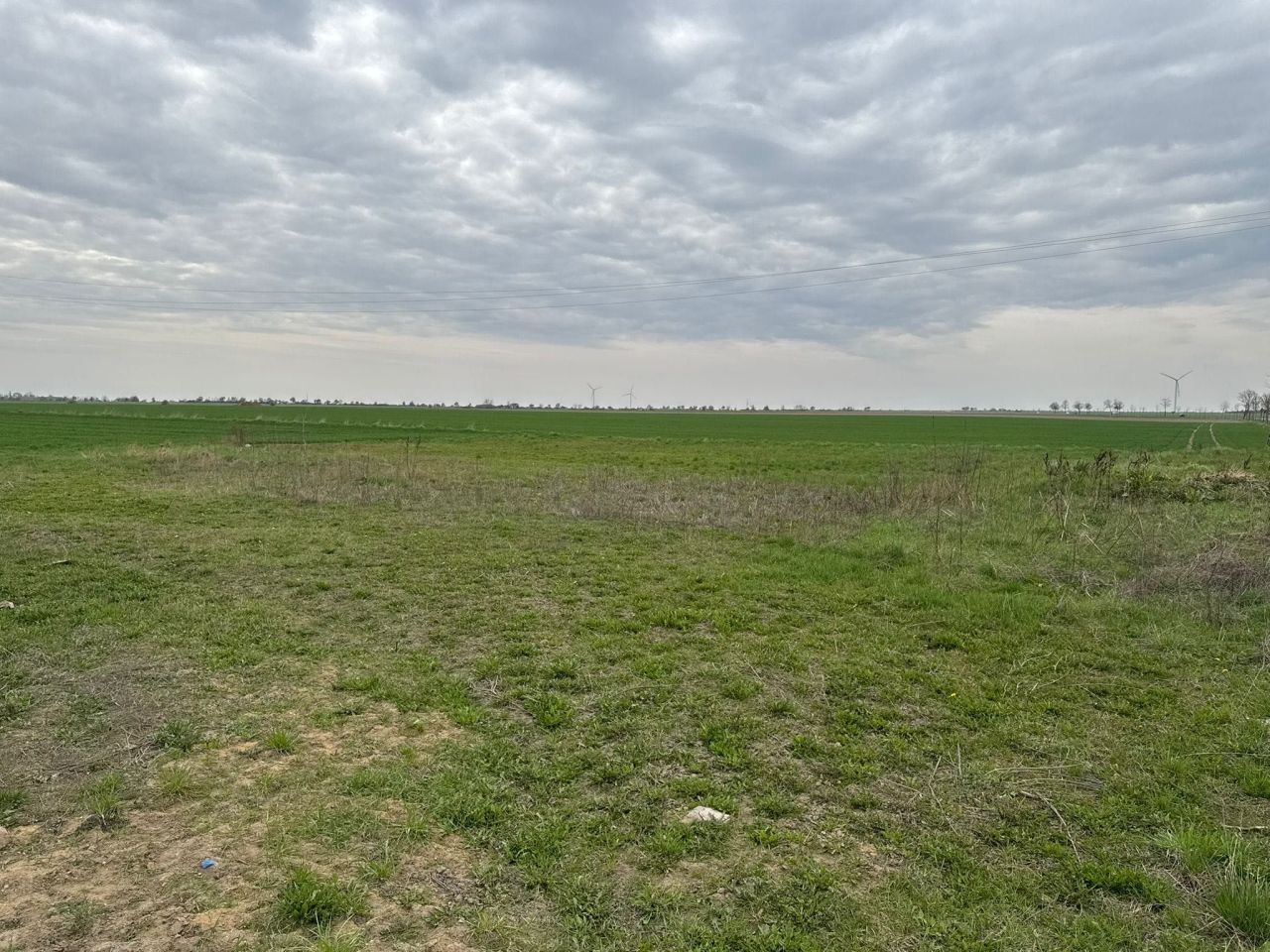 Działka budowlana Pawłowice. Zdjęcie 6