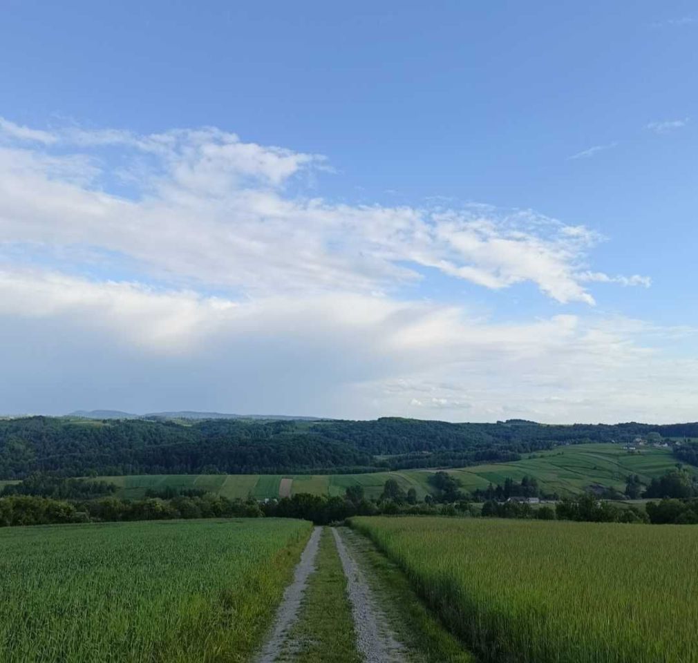 Działka rolna Niedźwiada. Zdjęcie 4