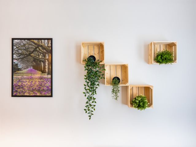 Mieszkanie 2-pokojowe Szczecin Śródmieście, ul. Mazurska. Zdjęcie 4