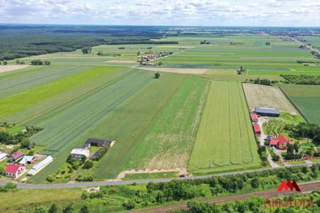 Działka rolna Gołaszewo. Zdjęcie 3