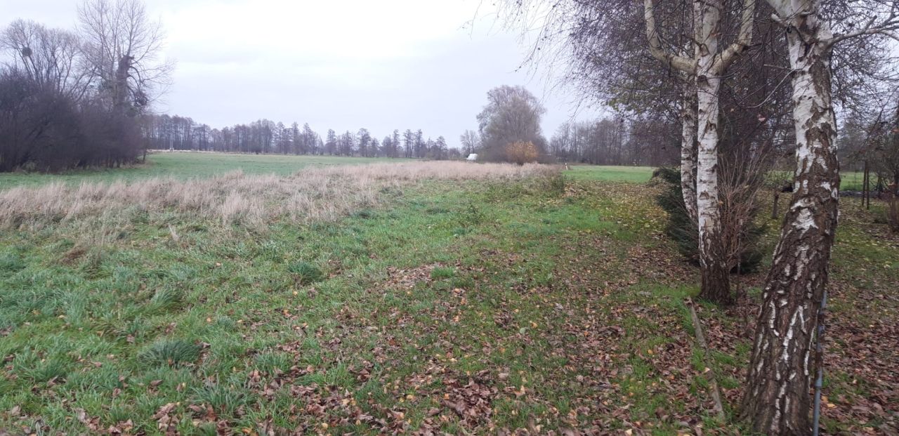 Działka budowlana Łącznica. Zdjęcie 8