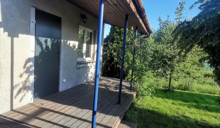 Działka rod Buk