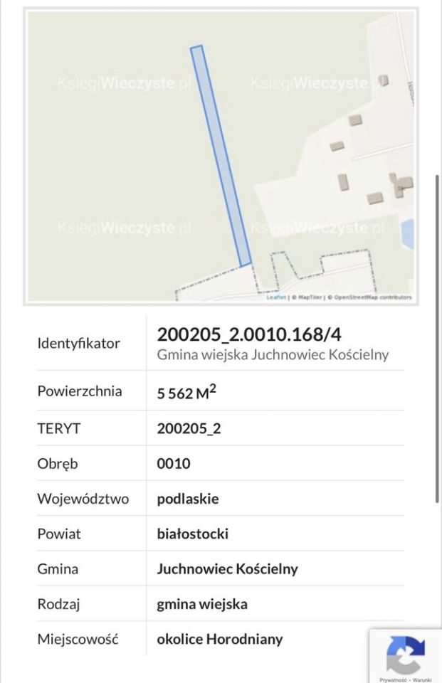 Działka leśna Horodniany. Zdjęcie 3