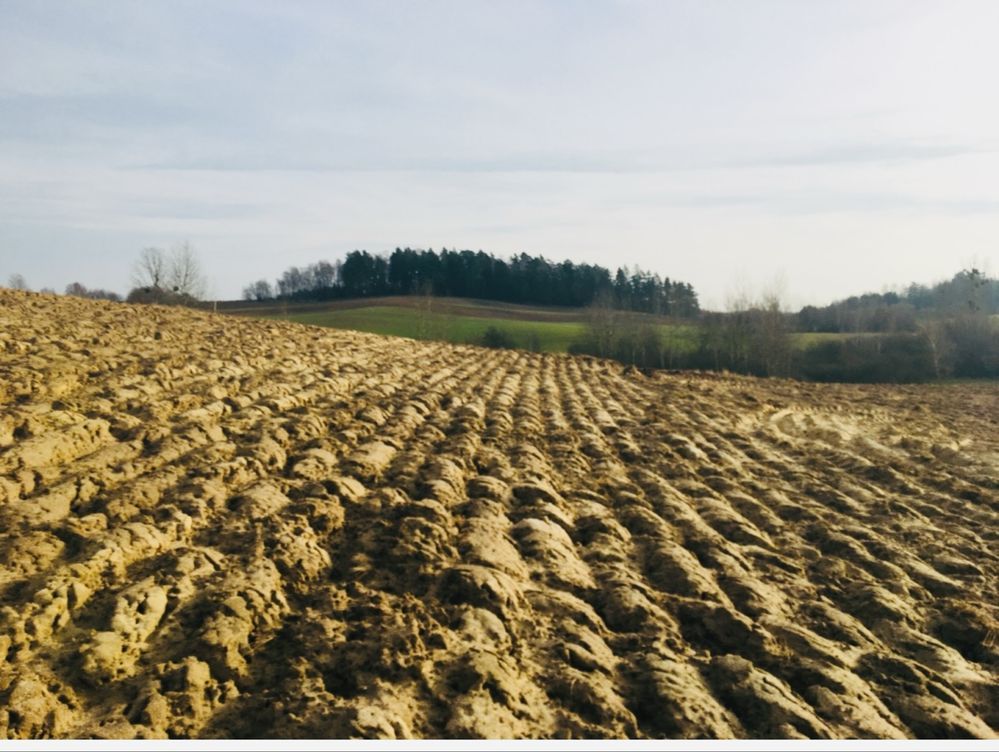 Działka rolno-budowlana Stryjkowo. Zdjęcie 3