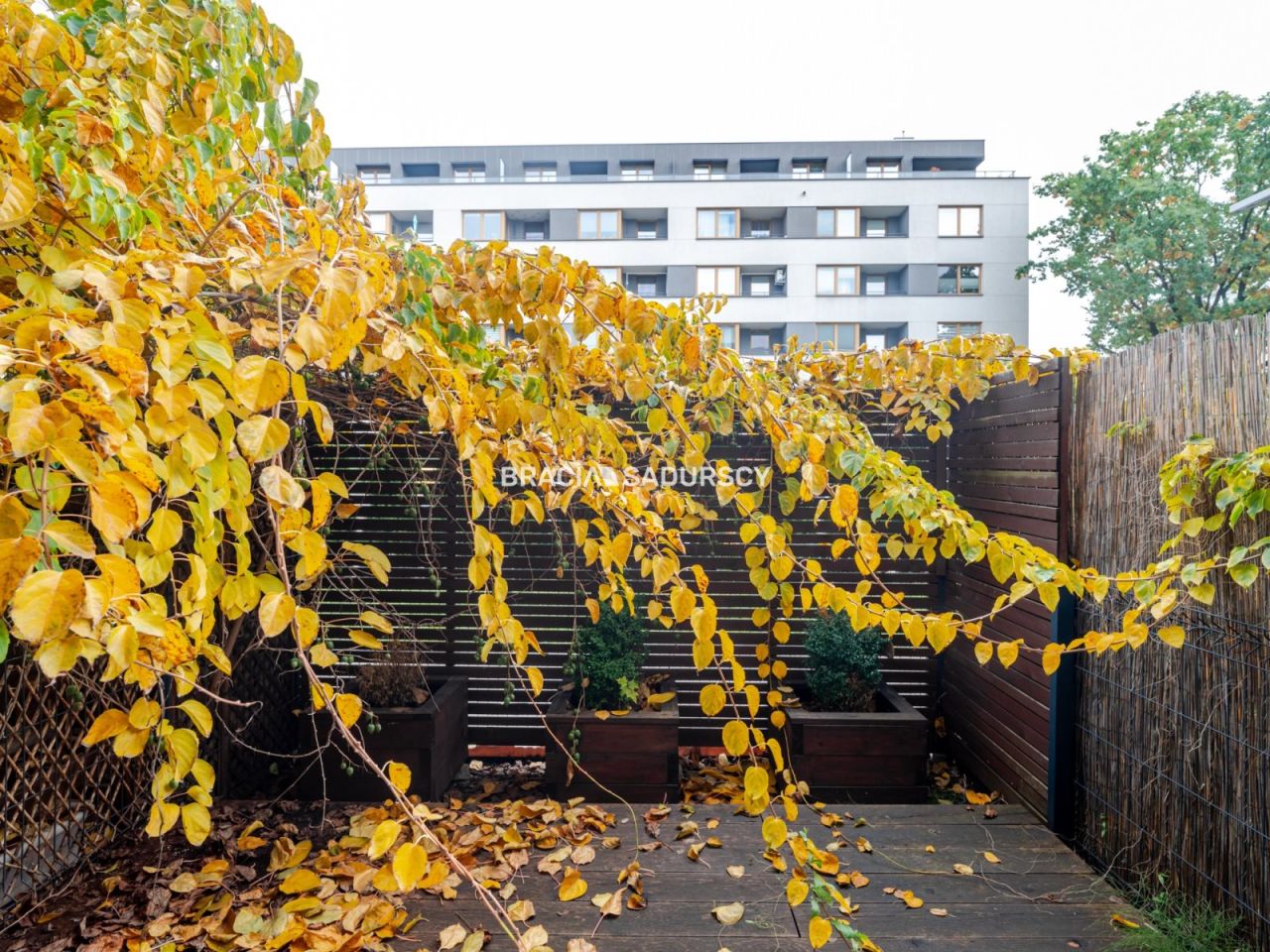 Mieszkanie 3-pokojowe Kraków Dębniki, ul. dr. Jana Piltza. Zdjęcie 15