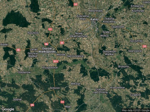 Działka leśna Sieroszewice. Zdjęcie 1