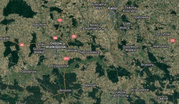 Działka leśna Sieroszewice