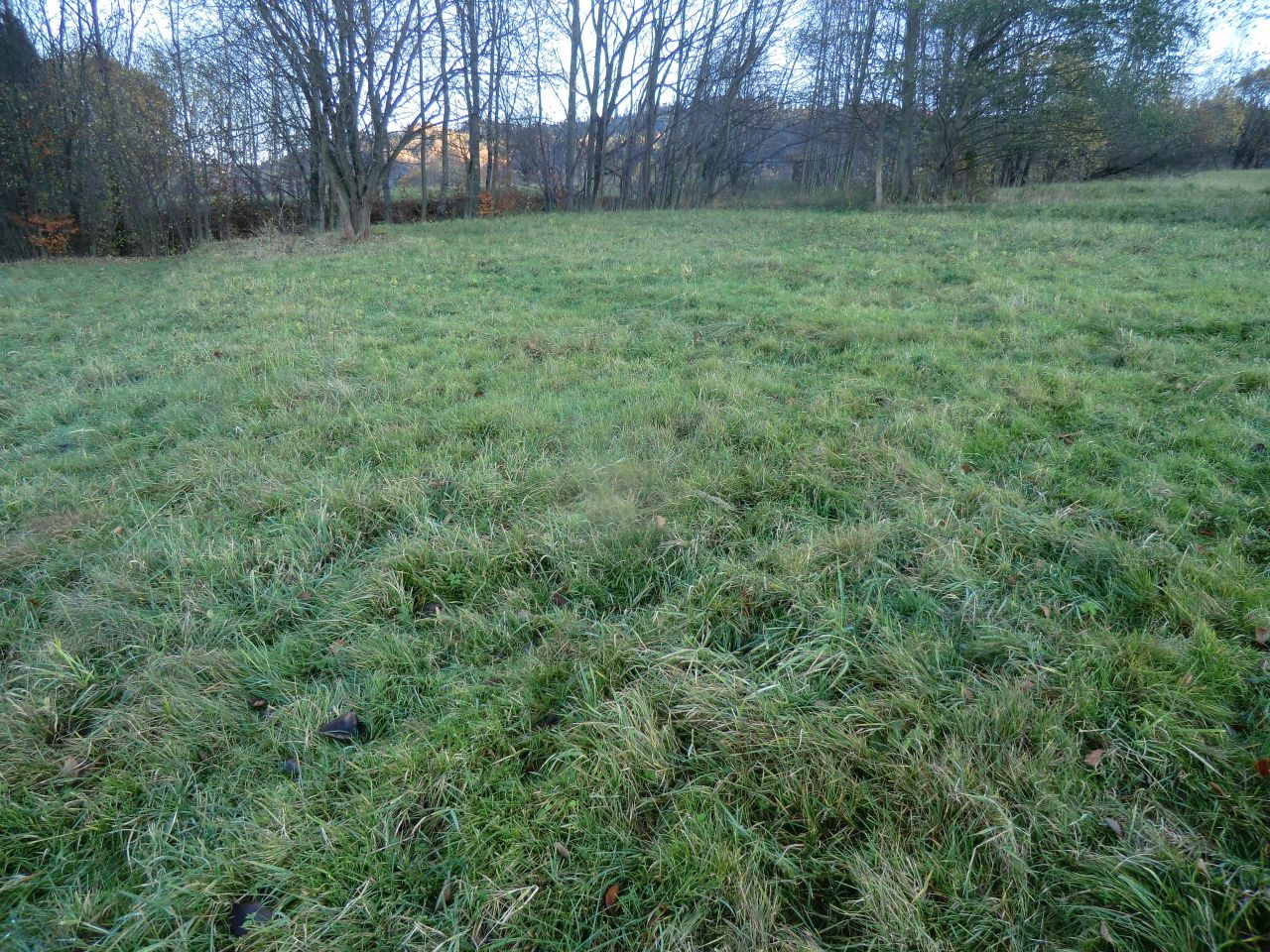 Działka rekreacyjna Juszczyna Puścizna. Zdjęcie 2