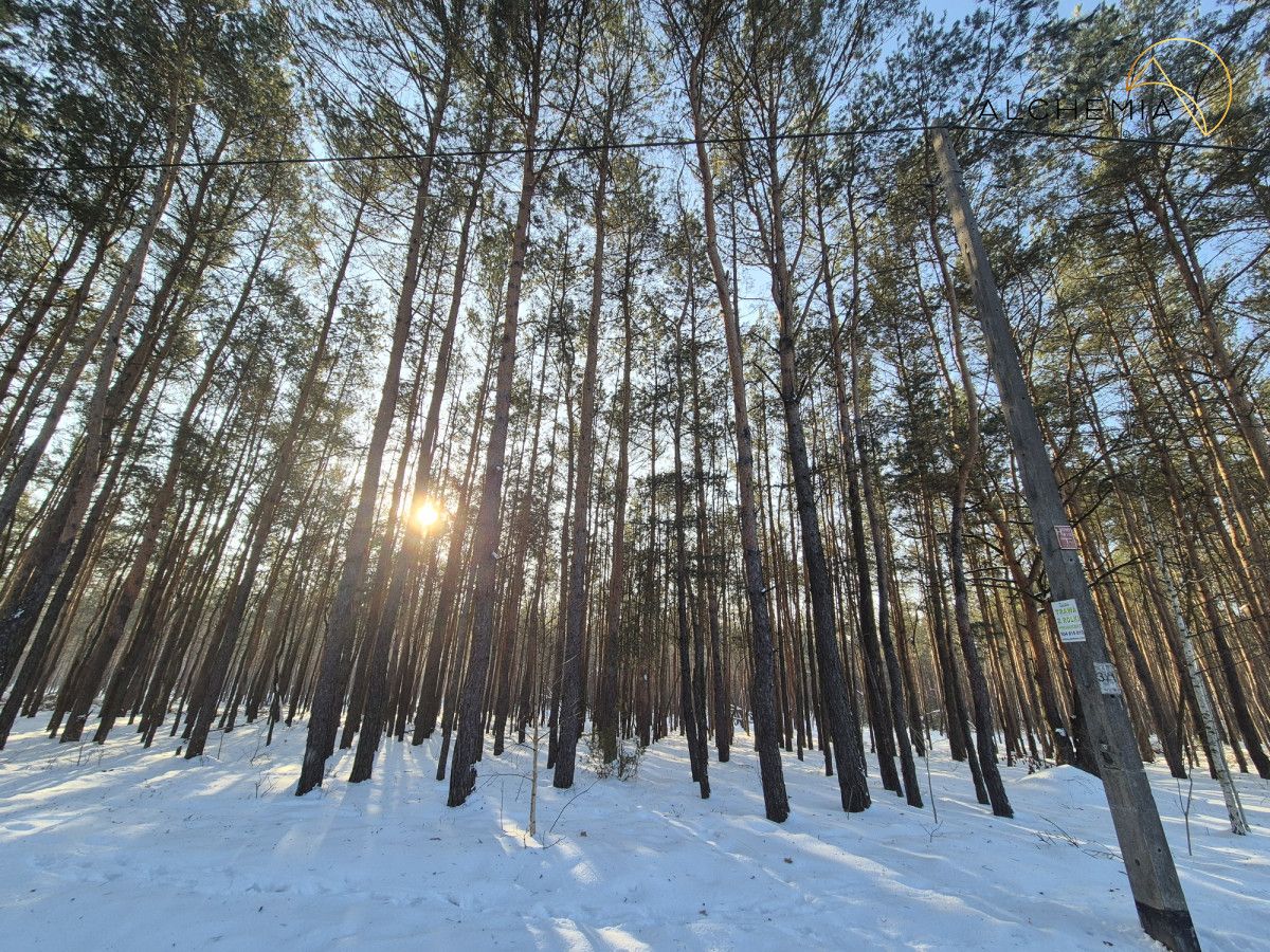 Działka budowlana Warszawa Wesoła, ul. Adama Mickiewicza. Zdjęcie 3