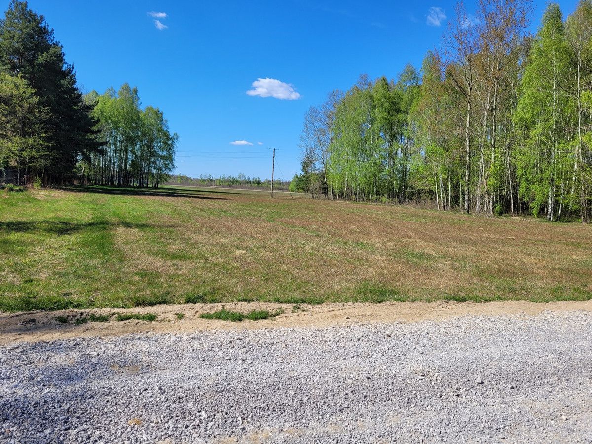 siedlisko Zaręby, ul. Kuropatwy. Zdjęcie 16