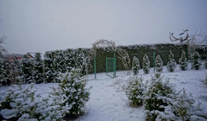Działka rod Ełk, ul. Malinowa
