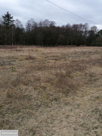 Działka budowlana Teofilów. Zdjęcie 1