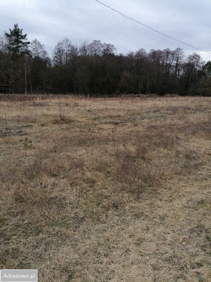Działka budowlana Teofilów
