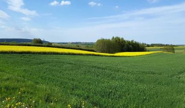 Działka rolno-budowlana Jeleniów