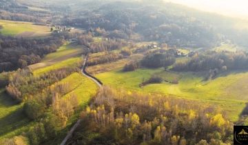 Działka rolno-budowlana Pietrusza Wola