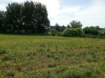 Działka rolna Boguniewo. Zdjęcie 2