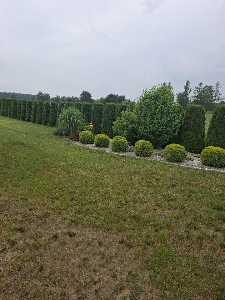 siedlisko, 2 pokoje Pieńki. Zdjęcie 5