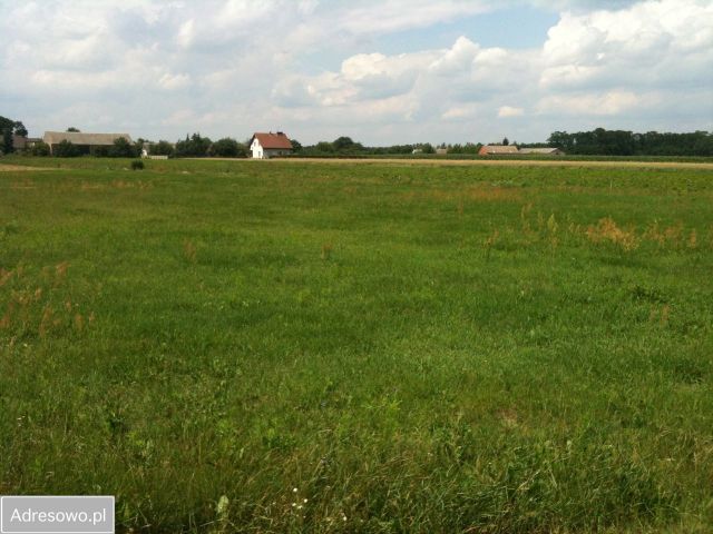 Działka rolna Rogalinek, ul. Poznańska. Zdjęcie 1