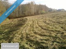Działka budowlana Dąbrówka Szczepanowska. Zdjęcie 2