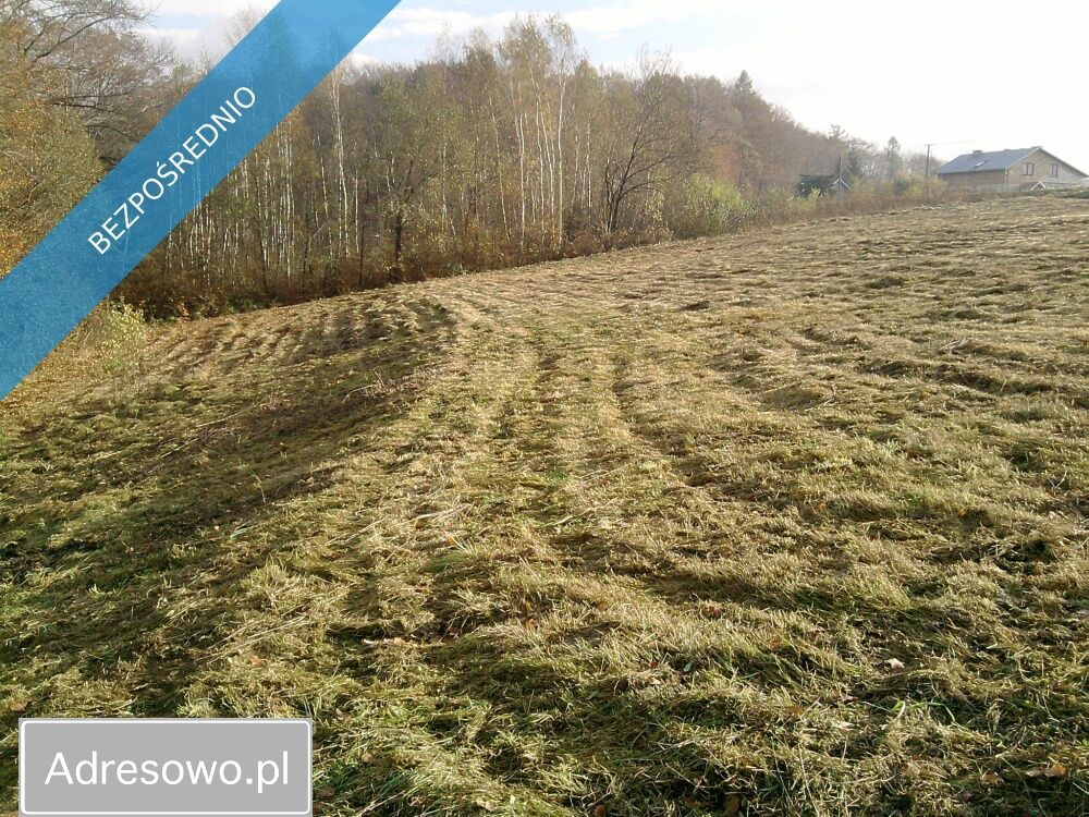 Działka budowlana Dąbrówka Szczepanowska. Zdjęcie 3